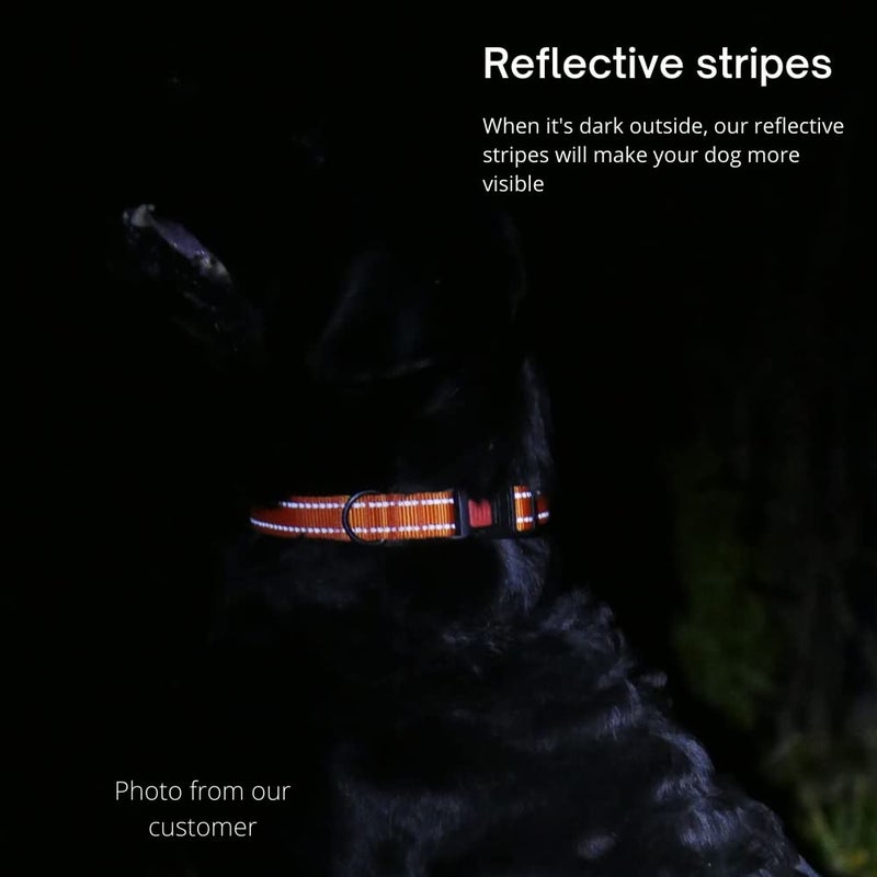 CollarDirect Reflective Dog Collar for a Small, Medium, Large Dog or Puppy with a Quick Release Buckle - Boy and Girl - Nylon Suitable for Swimming (12-16 Inch, Pink) - Image 3